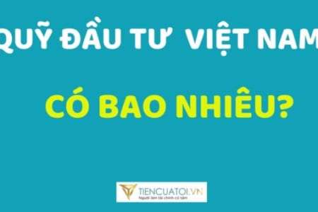 Tổng Quan Về Các Loại Quỹ đầu Tư ở Việt Nam