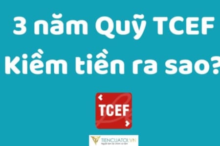 Đánh Giá Hiệu Quả Kiếm Tiền Của Quỹ đầu Tư Cổ Phiếu VN30 (TCEF) Của TCBS