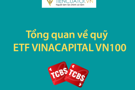 Tổng Quan Về Quỹ ETF VINACAPITAL VN100